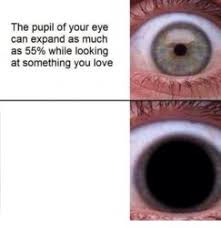Puffy eyes from crying last night meme. Eye Meme Templates Imgflip