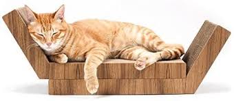 amazon com katris lynks modular cat scratcher 2 pack real teak wood cover pet supplies in 2021 wood cover cat scratcher teak wood
