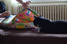 Jouet chat, souris plumeau, jouet infusé avec herbe à chat, à un prix imbattable.découvrez le monde des jeux et jouets pour chats et chatons, pour leur faire passer des moments inoubliables ! Coudre Un Coussin Sac De Couchage Cachette Pour Son Chat Tuto En Images Le Blog De Tibiski Couchage Chat Sac De Couchage Couchage Chien