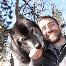 Wolf sanctuary in Colorado. I had no idea how huge wolves were until I saw  one in person. : r/pics