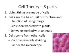 We did not find results for: Cell Theory And The Scientists Who Developed It Science Biology Cells Libguides At Al Yasat Private School