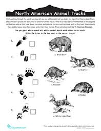 Anxiety activities activities for teens counseling activities art therapy activities mindfulness activities mindfullness activities for kids group 5 minute classroom mindfulness activities for kids. North American Animal Tracks 1 Worksheet Education Com