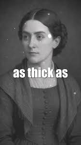 Photo: c.1890 Red Mountain, Ouray, Colorado (Photographed for Brumfield &  Gilbert) A line of frame dwellings and businesses. Signs read: "City  Laundry," "Bath Rooms," "Cosmopolitan," "The Rainbow Restaurant Meals At  All Hours,"