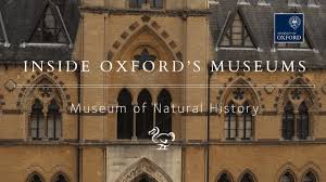 All souls college, oxford, ox1 4al opening hours: Inside The Oxford University Museum Of Natural History Youtube