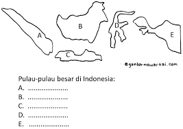 Download now mewarnai gambar burung garuda untuk anak paud. Pin Di Pulau