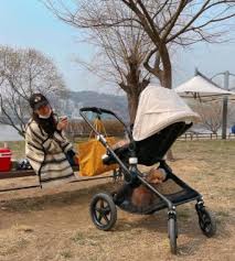 Je kontencheuga heungmi jinjin hae jigil balabnida. Mom To Be Choi Ji Woo Drags Stroller To Han River Lovely Daughter Fool