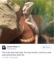 Don T You Forget It Funny Halloween Memes Bearded Dragon Funny Funny Memes For Him