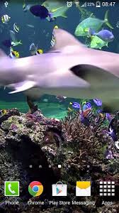 2560x1440 hearts live wallpaper free android apps on google. Aquarium Live Wallpaper Free Android Live Wallpaper Download Appraw