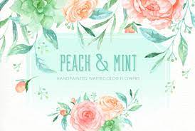 We did not find results for: Peach And Mint Watercolor Clipart Custom Designed Illustrations Creative Market