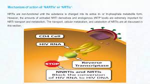Image result for Nucleoside Reverse Transcriptase Inhibitor