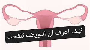 5 طرق فعالة للحصول على قوام رشيق قبل حلول شهر رمضان. ÙƒÙŠÙ Ø§Ø¹Ø±Ù Ø§Ù† Ø§Ù„Ø¨ÙˆÙŠØ¶Ø© ØªÙ„Ù‚Ø­Øª ÙˆØµØ§Ø± Ø­Ù…Ù„ Ù…Ù† Ø£ÙˆÙ„ ÙŠÙˆÙ… Ø£Ùˆ 7 Ø§ÙŠØ§Ù…