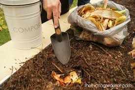 Alex and his mum have their own backyard chickens who supply an endless source of eggs and companionship. 7 Sustainable Garden Design Tips The Micro Gardener