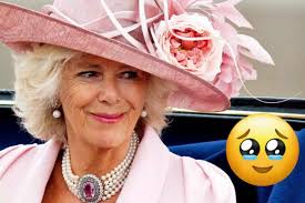 Excitement at Buckingham Palace over the latest discovery about Queen  Camilla