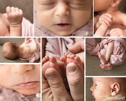 Laura Wight Photography, LLC