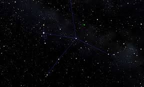 Image result for Searsia nebulosa