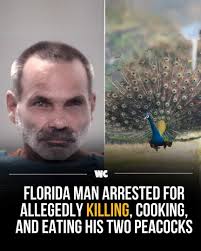Craig Vogt told investigators that he had killed the two peacocks because  his neighbor kept feeding them. The man “admitted to killing the bird by  cutting the bird's neck out of spite,
