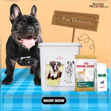 Pin On Pet Deals