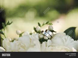 It's where the bride gets to relax (as much as one can), get her. Wedding Rings On Image Photo Free Trial Bigstock