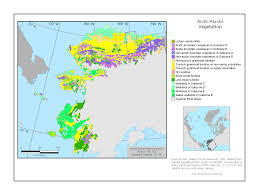 Geologic map index of alaska Arctic Alaska Vegetation Geobotanical Physiographic Maps 1993 2005