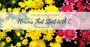 All flowers starting with t can be found in this definitive guide richly illustrated with beautiful pictures of all the flowers with t to plant in your garden. 7 Flowers That Start With C And Meanings Happyygarden Com