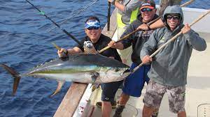 We did not find results for: Tac Glue Fishing Facts Uses