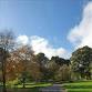 Autumn Forest Bathing Walk in Vogrie Country Park event image