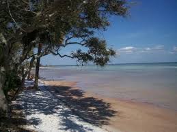 Choose from 1326 port st. Port Saint Joe Fl Port St Joe Florida Cape San Blas Florida Port Saint Joe
