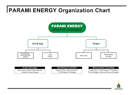 organization chart parami energy group of companies