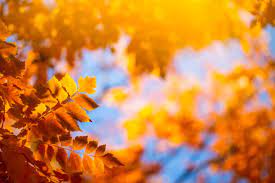 23,200+ September Morn Stock Photos, Pictures & Royalty-Free Images - iStock