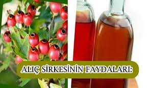 Alic Sirkesinin Faydalari Nelerdir Sirke Gida Meyve