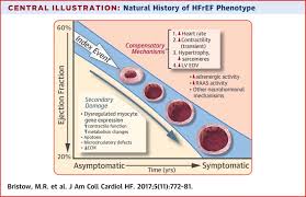 Structural And Functional Phenotyping Of The Failing Heart Is The Left Ventricular Ejection Fraction Obsolete Sciencedirect
