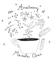 the anatomy of masala chai illustration infographic drawing doodle tea black tea tea cup spices c masala chai tea infographic tea illustration
