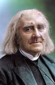 Franz Liszt true love** **>>:  https://www.teezily.com/sometimes-franz-liszt**