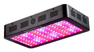 In general, led lights for growing are placed directly over or just to the side of plants as they sprout. 18 Led Grow Light Myths You Should Know About Garden Myths