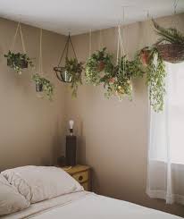 How to hang plants from ceiling. How To Hang Plants From Ceiling And Walls A Nest With A Yard