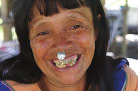 Vulnerability analysis and strategies for climate change adaptation in the  El Sira Community Reserve, Peru