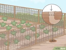 Some people also line some or all of the floor with this wire mesh, but this could be harmful to some birds, so you should research this further before taking this step. 3 Simple Ways To Keep Rats Out Of A Vegetable Garden Wikihow