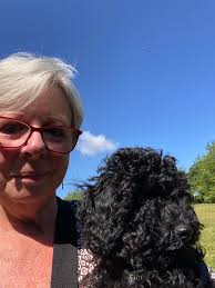 My brothers dog, Finn, sister lives here! Just need Finn in a Santa hat for  the total effect! She's retired with a lot of time