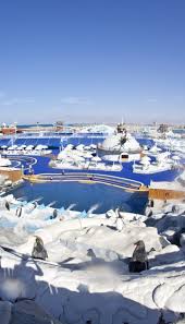 Ice Land Water Park Dubai Tickets Attractions Reviews More
