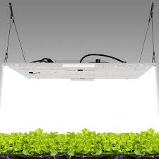 Selection of the best 300 watts led grow light becomes easy when someone makes some advancements in their products to serve their customers with highly efficient products. Hlg 650r Commercial Indoor Led Grow Light Sylvane