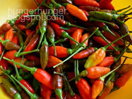 Bringing authentic malaysian home cooked food to perth. Cili Api Pembekal Lada Putih Cili Padi Facebook