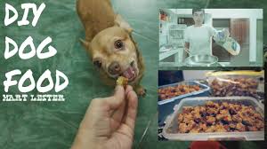 Diy Dog Food Homemade Dry Dog Food Youtube