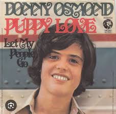 Wayne, Merrill, Jay, Donny, Marie, Jimmy and Alan first marketed as teen  idols with their wholesome image before exploring other musical genres and  careers.