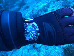 Image result for diving watch