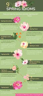 Enthusiasm Flower Essay Best Flower Wallpaper