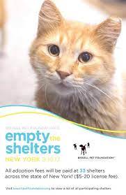 Every month, the petco foundation hosts or sponsors adoption events nationwide. Pets Pets Pets Amityville Record