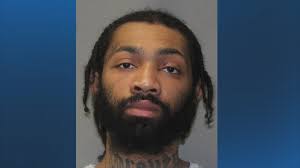 Extremely rare bird spotted