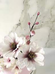 Colour Blocking With Spring Sugar Flowers Sugar Flowers Cake Clay Flowers Sugar Flowers Tutorial