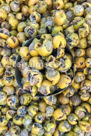 Image result for Diospyros gabunensis