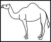 Easy step by step tutorial on how to draw an arabic camel, pause the video at every step to follow the steps carefully. How To Draw Camels Drawing Tutorials Drawing How To Draw Camels Drawing Lessons Step By Step Techniques For Cartoons Illustrations